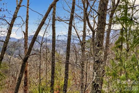 149 Turkey Trot Trail