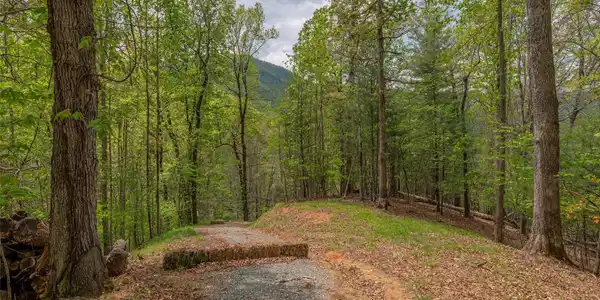 Image 3 Image 3