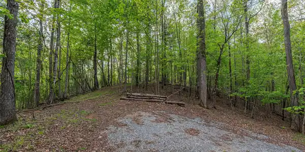 Image 4 Image 4