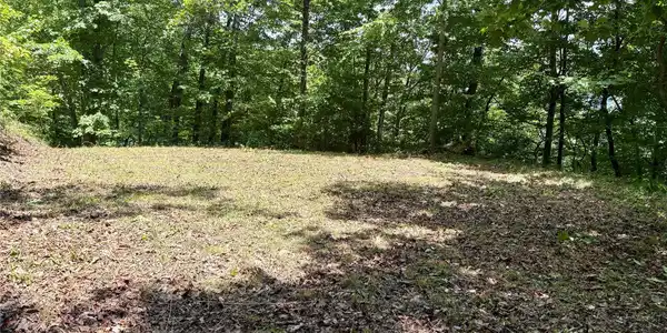 Image 4 Image 4
