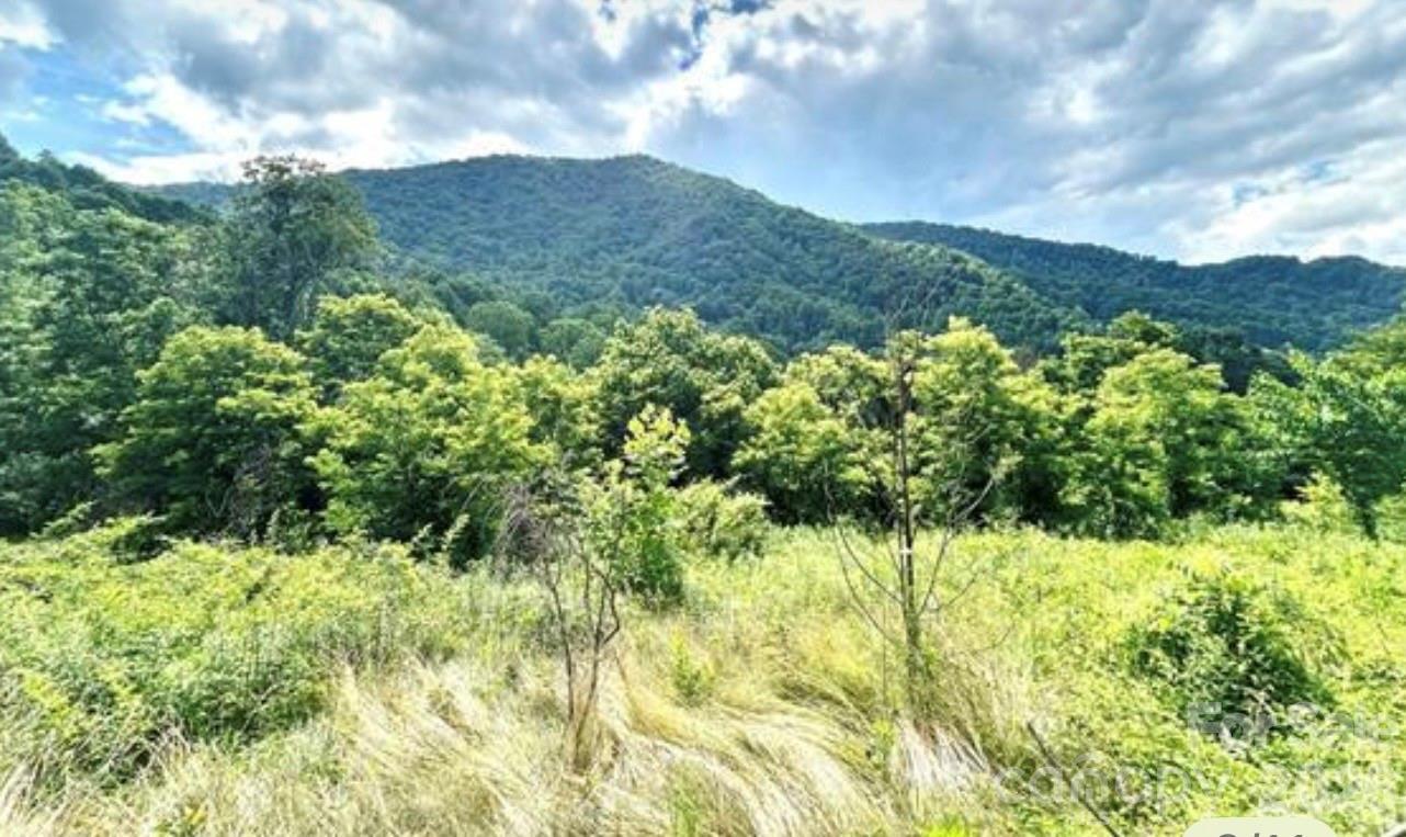 Image 1 Image 1