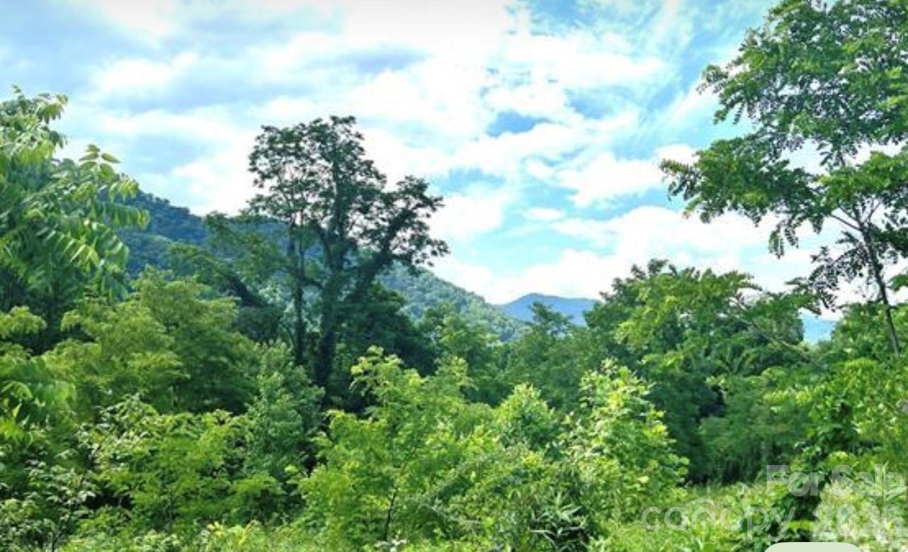 Image 4 Image 4