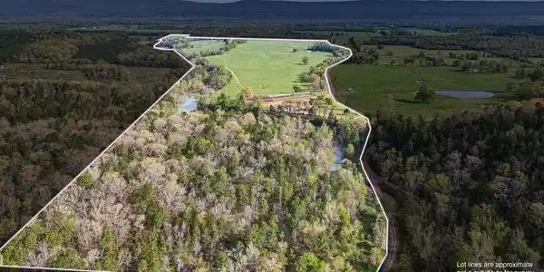 12250 Bluff Road