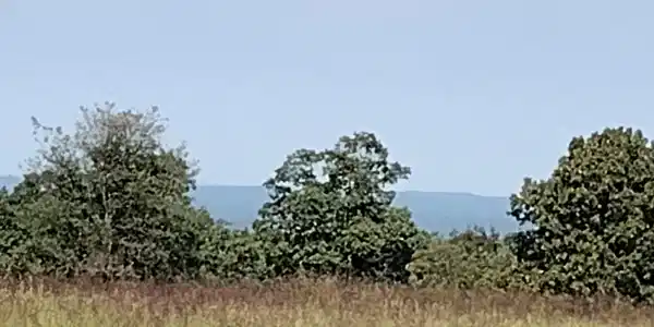 0 Toad Hollow rd