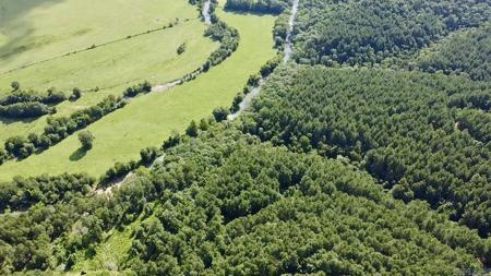 5.45 Acres +/- Off PR 3629
