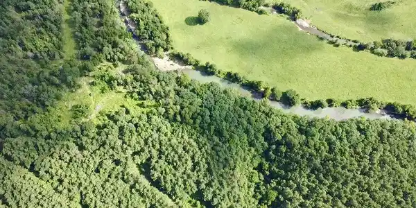 5.45 Acres +/- Off PR 3629