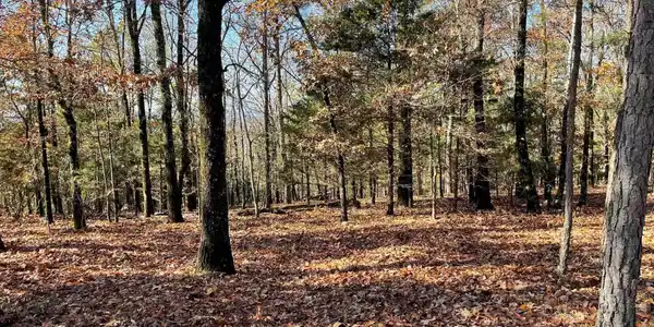 Lot 267R Blk 15 Ridgeview Drive Drive