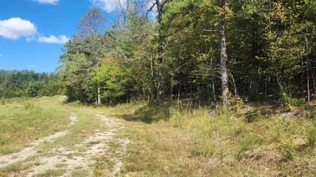 224 (Lot#15N) Reva's Way