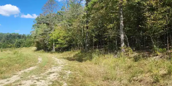 224 (Lot#15N) Reva's Way