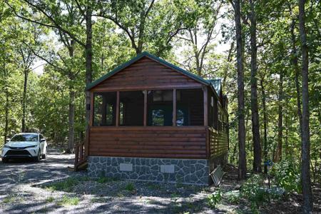 256 Fallen Tree Road