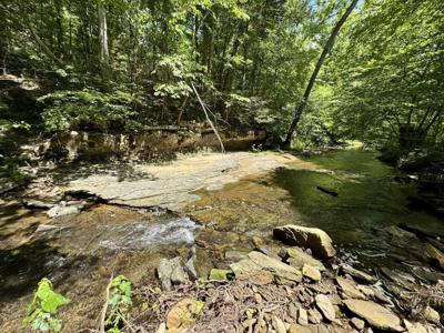 75.33 acres Rose Trail
