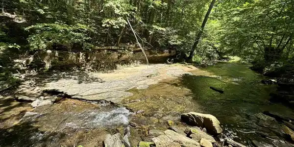 75.33 acres Rose Trail