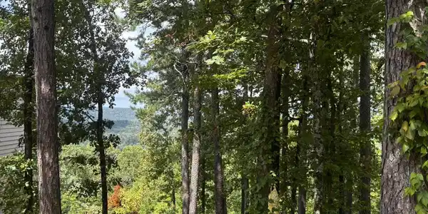 Image 1: View from the lot