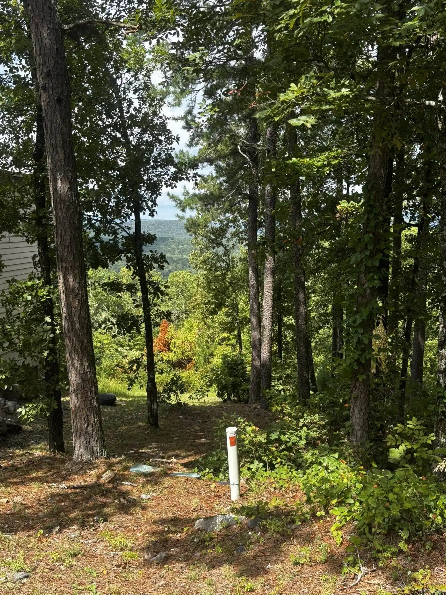 Image 0: View from the lot