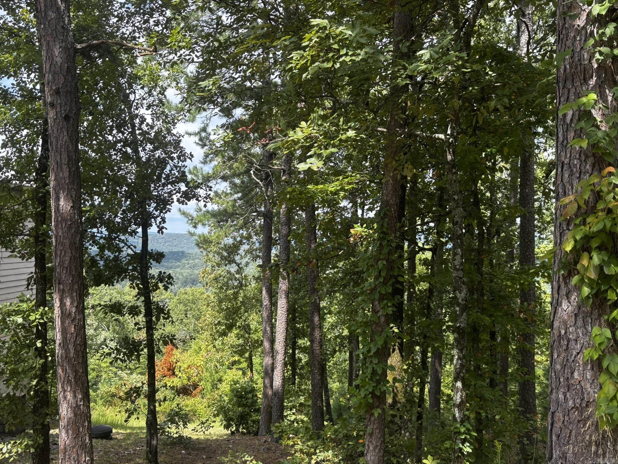 Image 1: View from the lot