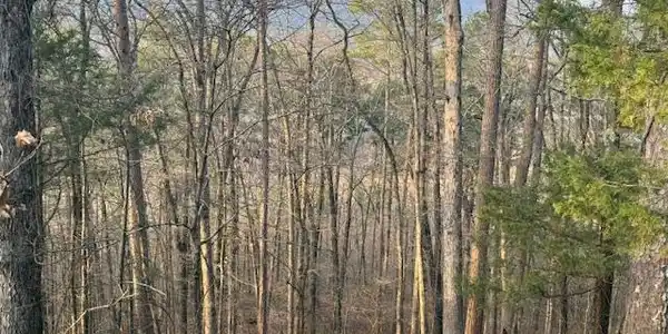 OFF Hwy 164