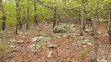 9985 Lick Fork Road