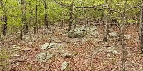 9985 Lick Fork Road