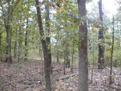 0 Big Creek Rd