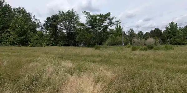 533 Caney Creek Loop