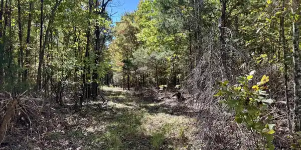 13.5A Highway 58