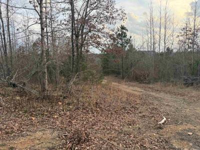 TBD Easement Road Polk 414