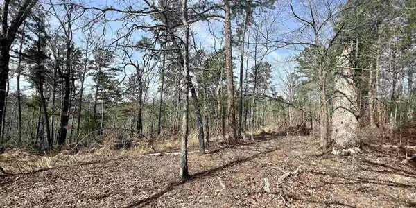 Tract 6 Ramblewood Trail