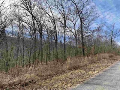 Lot 36 Lower Ridge Circle