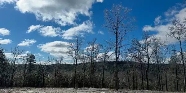 186 E High View Trail