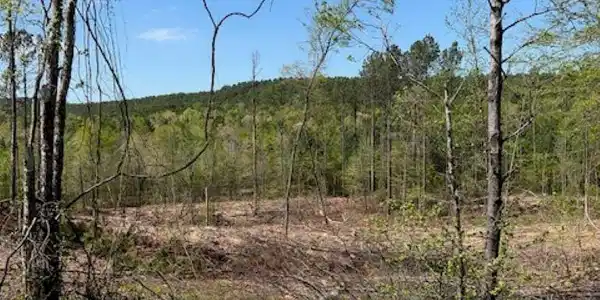 TBD Hwy 84