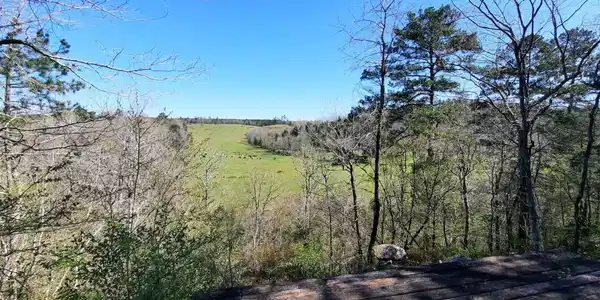 TBD Polk Road 4
