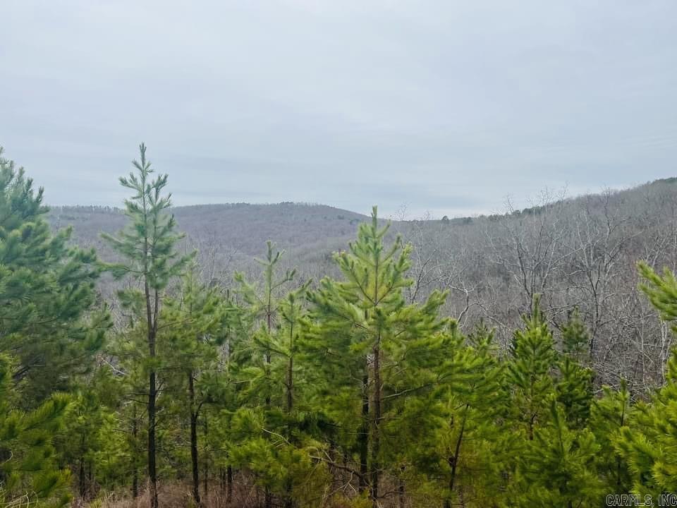 Image 0