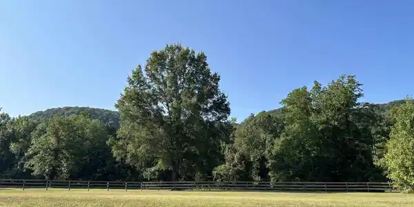 Lot 14 River View Loop