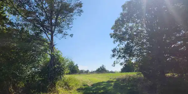 TBD E Highway 298