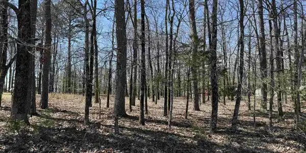 000 Eagle Ridge Trace