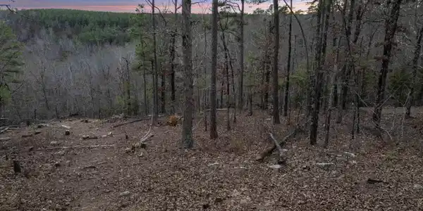 000 Timberline Drive