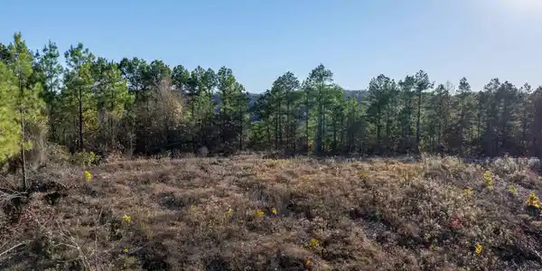 Lot 9 Polk Road 617