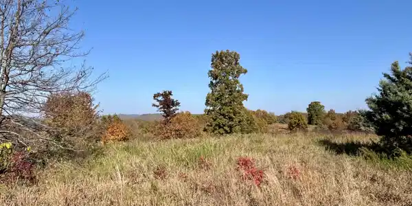 Lots 3 and 4 Blessing Subdivision