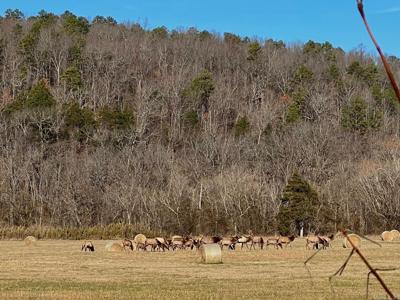 1141 Wafted Lane Tract 3