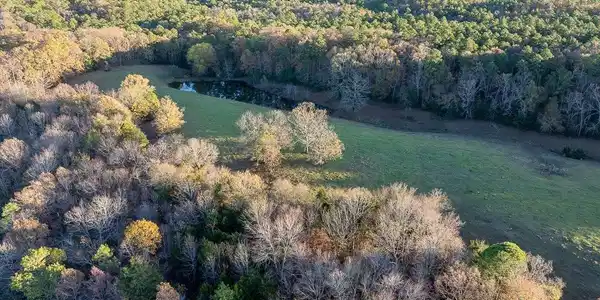 TBD Easement Rd off Polk 295
