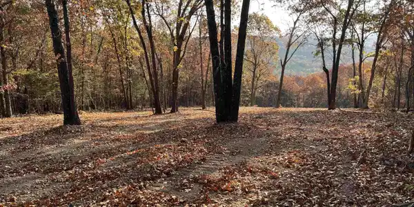13.44 AC Jackson Ridge