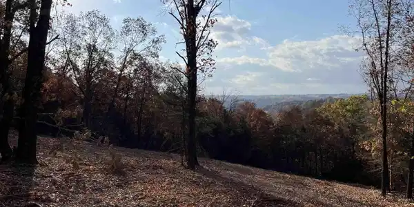 11.00 AC Jackson Ridge