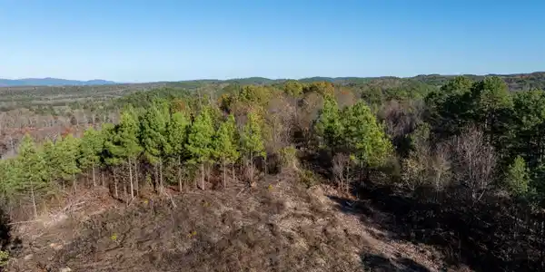 Lot 13 Polk Road 617