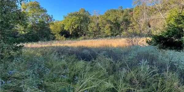 TBD Saddle Rd