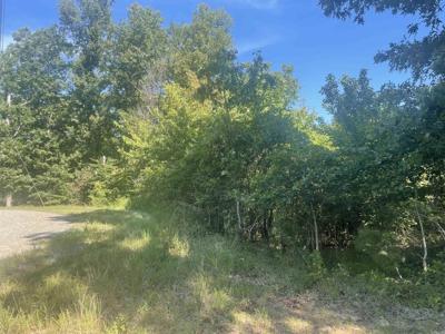 000 Pine Tree Drive