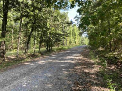 0 Devils Bluff Road