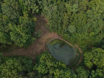 186A Williamson Trail