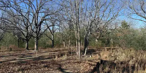 2859 HWY 71 N