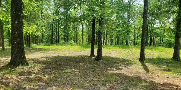 TBD (Lot 5) Brandon Drive