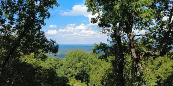 4520 Iron Mountain Road